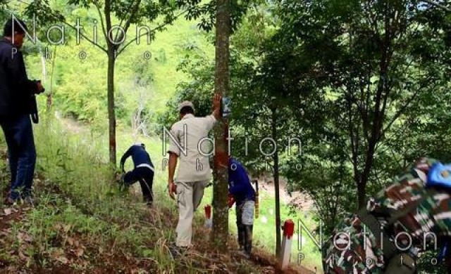 ทหาร-จนท.ป่าไม้บุกยึดสวนยางฯ ชี้ของนายทุนภาคใต้