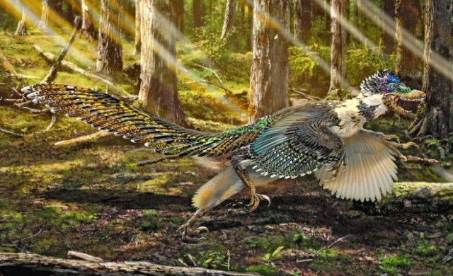 พบฟอสซิลไดโนเสาร์มีปีกพันธุ์ใหม่ในจีน