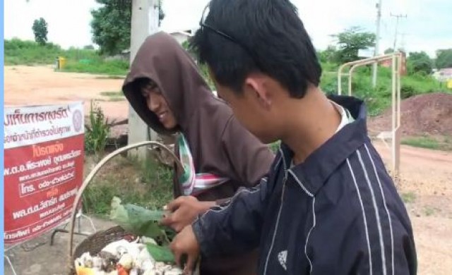 ชาวบ้านแห่เก็บเห็ดป่าขาย เตือนระวังเห็ดพิษและหลงป่า