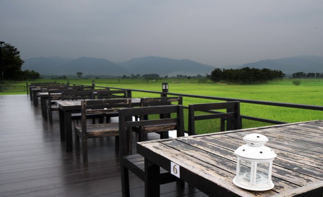 ทุ่งนา ฟ้ากว้าง @แสงทองรีสอร์ท