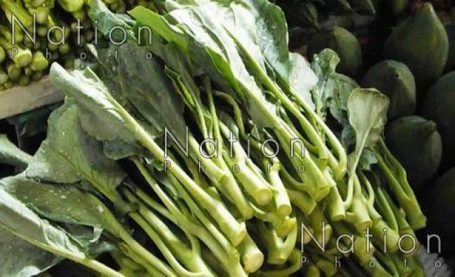 'คะน้า'ราคาพุงโลละ180 รับเทศกาลกินเจ