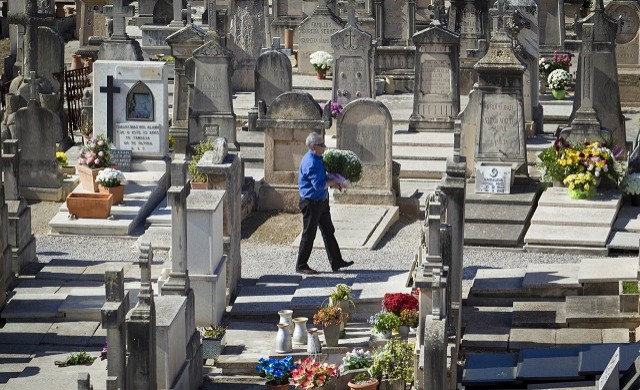 แม่-ลูกบราซิล ค้างคืนในสุสานฝรั่งเศส