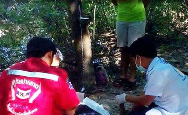 ชายวัย60 เครียดราคายางตกต่ำ ผูกคอตายบนต้นยางพารา