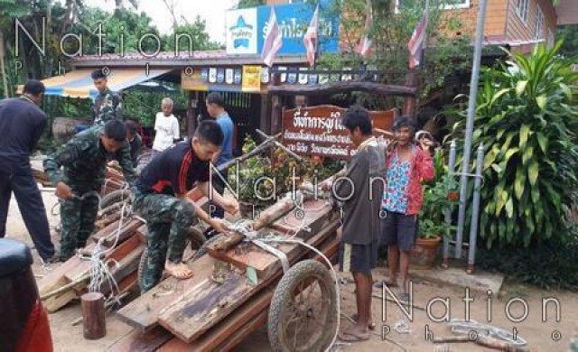 ผญบ.ตัวอย่างพาลูกบ้านจับมอดไม้เขมร