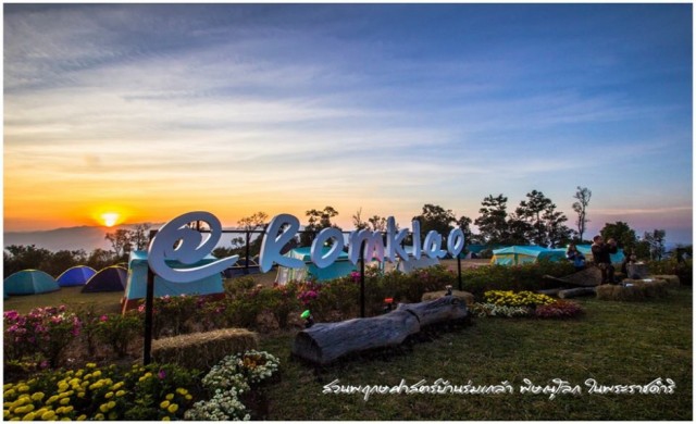 ห่มหมอก กอดหนาว ดูดาวบนภู