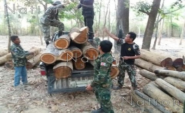 ยึดไม้ประดู่9ท่อน ลอบตัดในเขตป่าอุทยานผาแต้ม