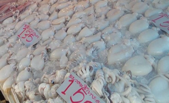 สสจ.สกลฯยันไม่พบ'ปลาหมึกสายวงน้ำเงิน'ในแหล่งอาหาร