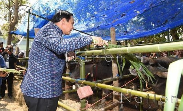 นายกฯบอกควายให้ทำดีมากๆ ชาติหน้าจะได้เกิดเป็นคน 