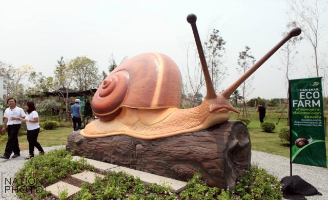 จุฬาฯเปิดตัว'ฟาร์มหอยทากเชิงนิเวศแห่งแรกของเอเชีย'