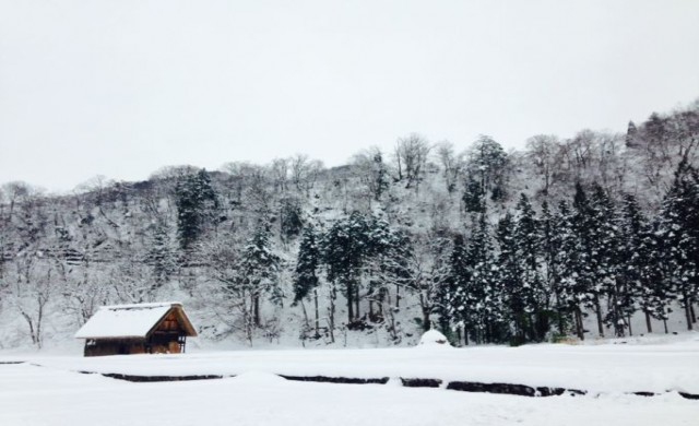 อาทิตย์อุทัยในไอหนาว