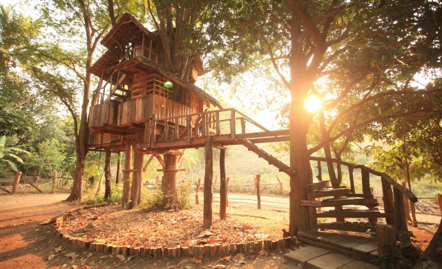 ปีนป่ายความฝัน...‘บ้านต้นไม้’ 