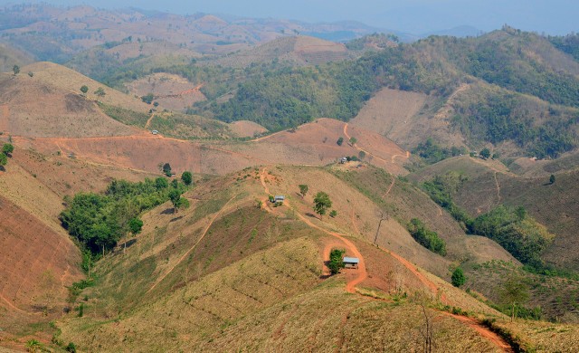 'ปลูกป่า' หมดเวลาโลกสวย