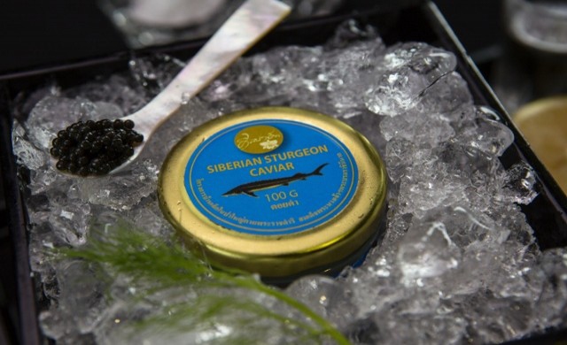 คาเวียร์ ศิลปาชีพ