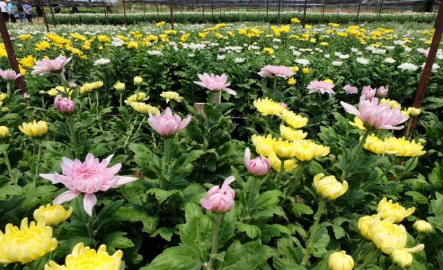 “ลพบุรี-สระบุรี” เที่ยวนี้แสนเพลิน