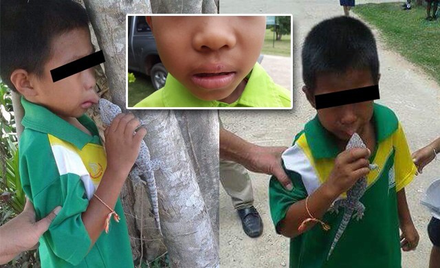 แชร์ว่อน! ตุ๊กแกกัดปาก พี่แกล้งหรือเด็กซน