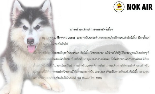 'นกแอร์'ยกเลิกขนส่งสัตว์ เว้นสุนัขนำทางสำหรับบุคคลพิการ