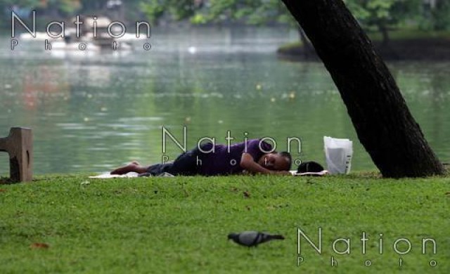 วอนคนกรุงฯ หยุดให้อาหารนกพิราบในสวนลุมพินี