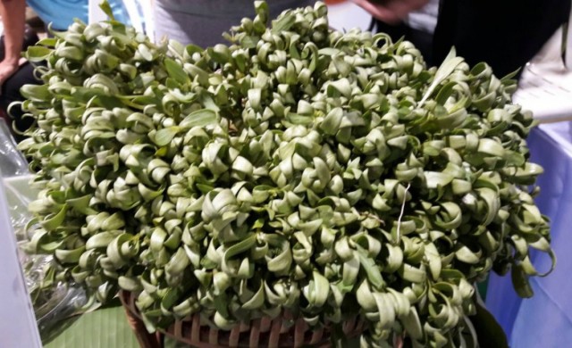 ชู'หญ้าผมยุ่ง'ดีต่อหญิง 'ผักปลัง'ดีต่อชาย