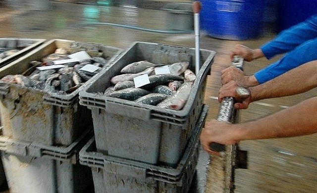 สื่อนอกแฉธุรกิจประมงสหรัฐค้ามนุษย์