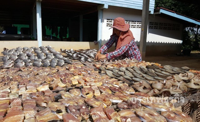 ชาวบ้านบุ่งแปรรูปทำปลาเค็มแดดเดียว สร้างรายได้เดือนละ8หมื่น