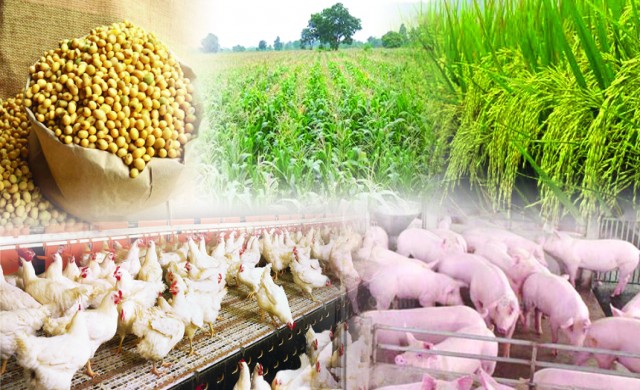 สรุปภาวะสินค้าเกษตรประจำสัปดาห์ วันที่ 12-16 กันยายน 2559 