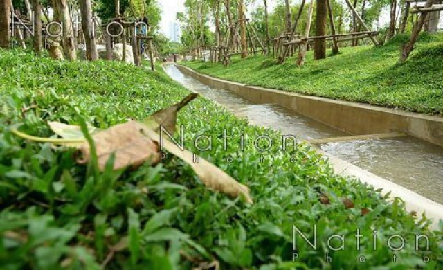 สวนป่ารักน้ำ เฉลิมพระเกียรติฯ ปอดแห่งใหม่ของกรุงเทพฯ