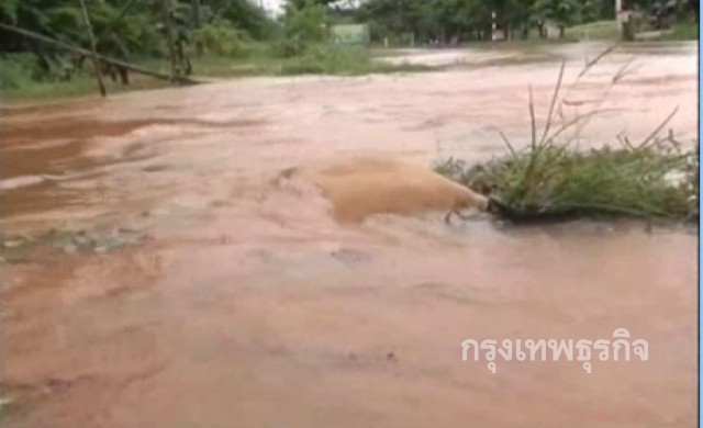 เตือนรถเล็กระวังถนนพิมาย–ชุมพวง น้ำท่วมสูง30ซม.