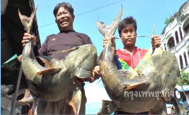 พรานล่าปลาเฮ! จับปลาแค้ยักษ์2ตัว ขายส่งร่วมหมื่นบาท