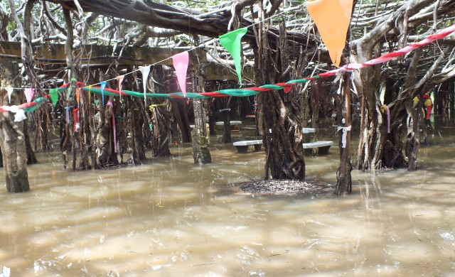 น้ำท่วมต้นไทรอายุร้อยปี 100 ต้น ในอุทยานไทรงาม