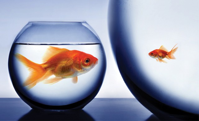 จับสัญญาณตุน 'หุ้นฟู้ดแคปปิตอล'