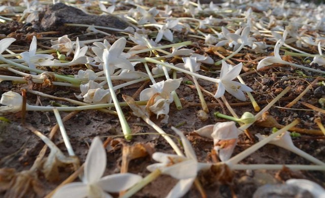  อย่าตีตราผู้ป่วยจิตเวช