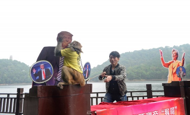 เจ้าจ๋อจีนทำนาย“ทรัมป์”ชนะเลือกตั้ง