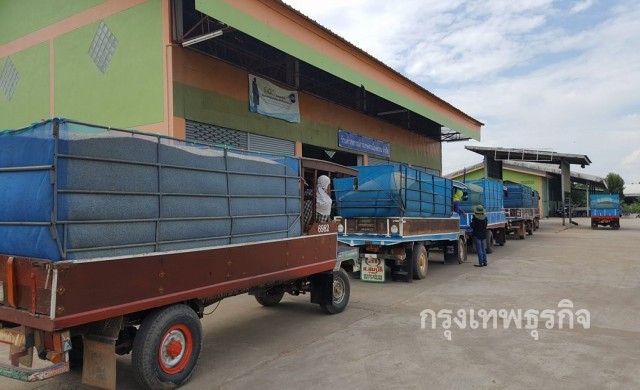 ชาวนาอุตรดิตถ์ แห่นำข้าวเปลือกรอคิวขาย