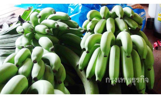 นอภ.พญาเม็งราย ยันสวนกล้วยไม่มีสารเคมีอันตราย