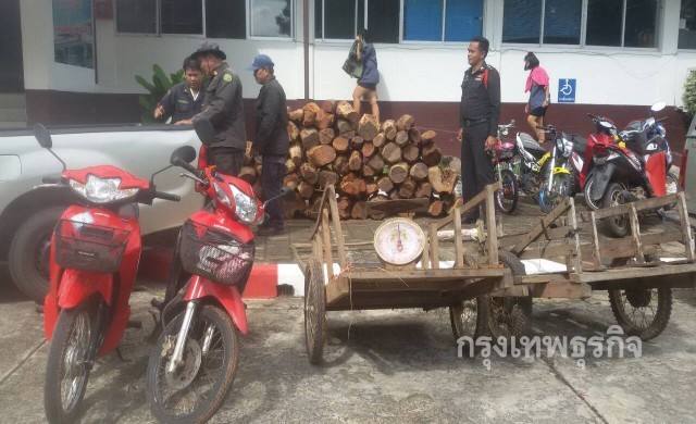 จู่โจมจับแก๊งมอดไม้พะยูงที่รัตนบุรี จ่อส่งขายพะยูง83ท่อน