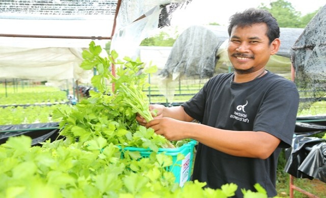 พลิกวิกฤติธุรกิจเกษตร ตามแบบ Young Smart Farmer