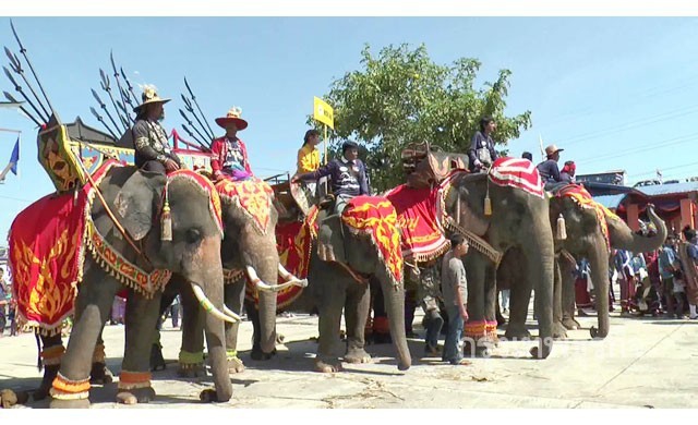 บุรีรัมย์เตรียมนำช้าง40เชือก ร่วมพิธีเห่เรือน้อมถวายในหลวง