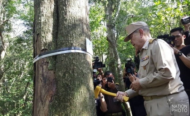 โหรหลวงบวงสรวงตัดไม้จันทน์หอมสร้างพระบรมโกศ