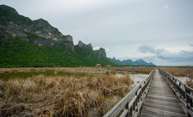 ไม่มี “บัว” ที่บึงบัว 