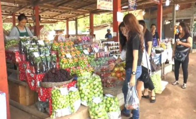 วังน้ำเขียวคึกคัก! ปชช.แห่เที่ยว-ซื้อผักปลอดสาร