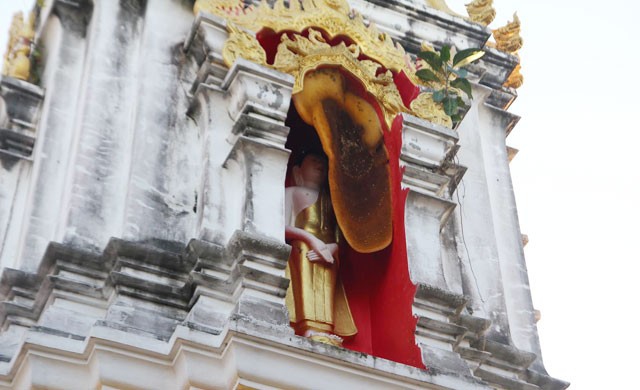 ฮือฮา ผึ้งทำรังบังแดด ให้พระพุทธรูป