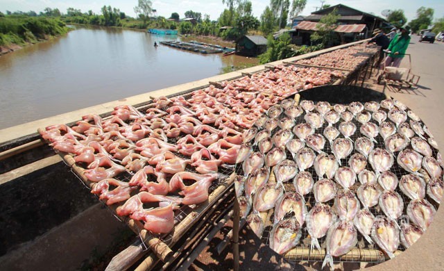 ชาวท่าข้ามรวมกลุ่มหาปลา ทำ 'ปลาเกลือตากแดด' รายได้งาม