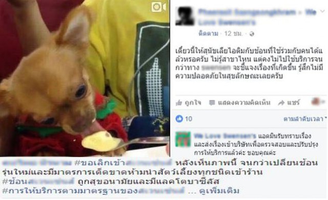 ดราม่าสนั่น! ภาพสุนัขเลียช้อนร้านไอศกรีมชื่อดัง 