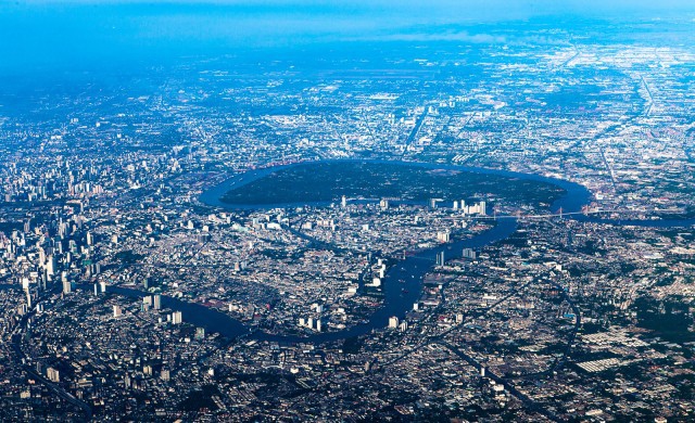 “คืนป่า” มาหานคร 