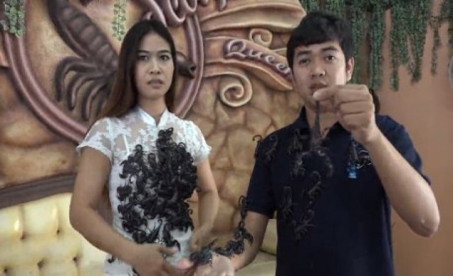 สวนเสือศรีราชาโชว์ 'นางพญาแมงป่อง' ดึงนักท่องเที่ยว