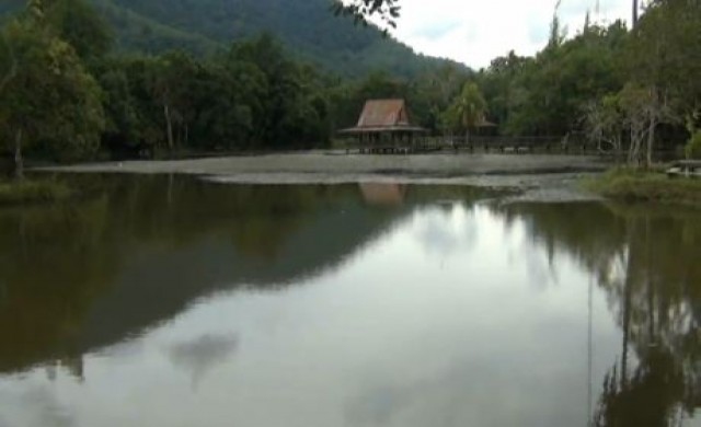 อุทยานนกน้ำคลองลำชาน สถานที่ท่องเที่ยวแห่งใหม่ จ.ตรัง