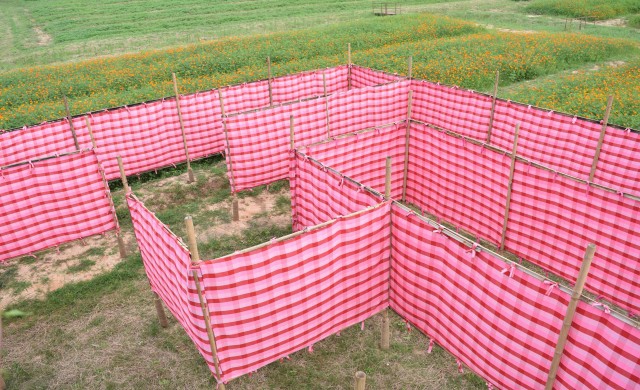 ชมแพรอีโป้ โต้ลมหนาว 