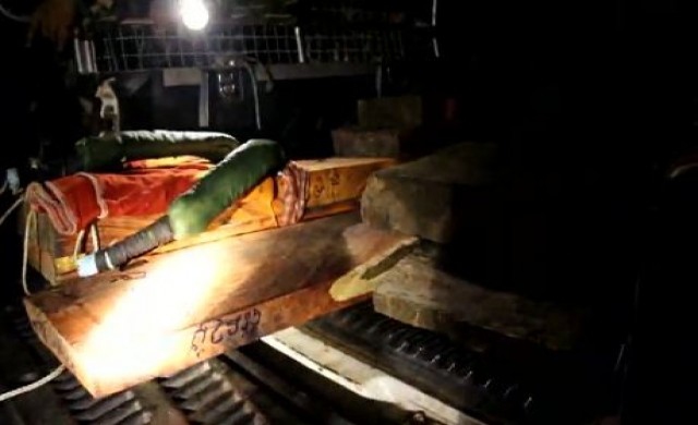 กล้อง NCAPS แจ้งเหตุ ลักลอบตัดไม้พะยูง อุทยานทับลาน