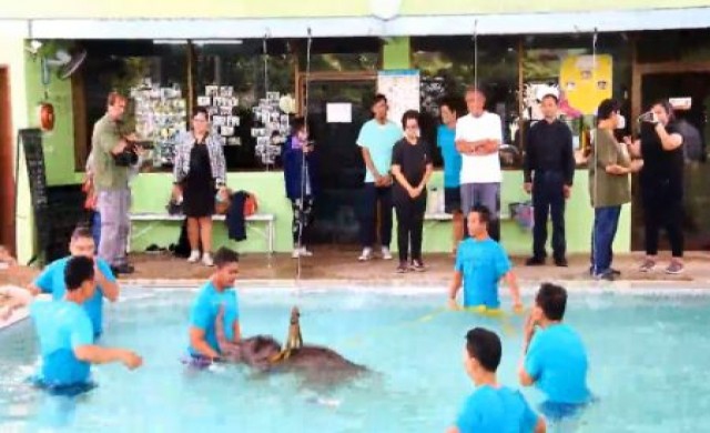 สวนนงนุชพอใจ 'พังฟ้าแจ่ม' ธาราบำบัดครั้งที่2 อาการดีขึ้น