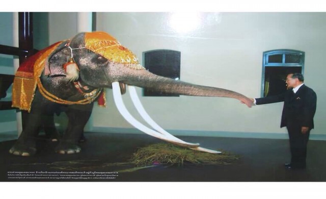 'คุณพระเศวตอดุลยเดชพาหน' ช้างเผือกในรัชกาลที่9